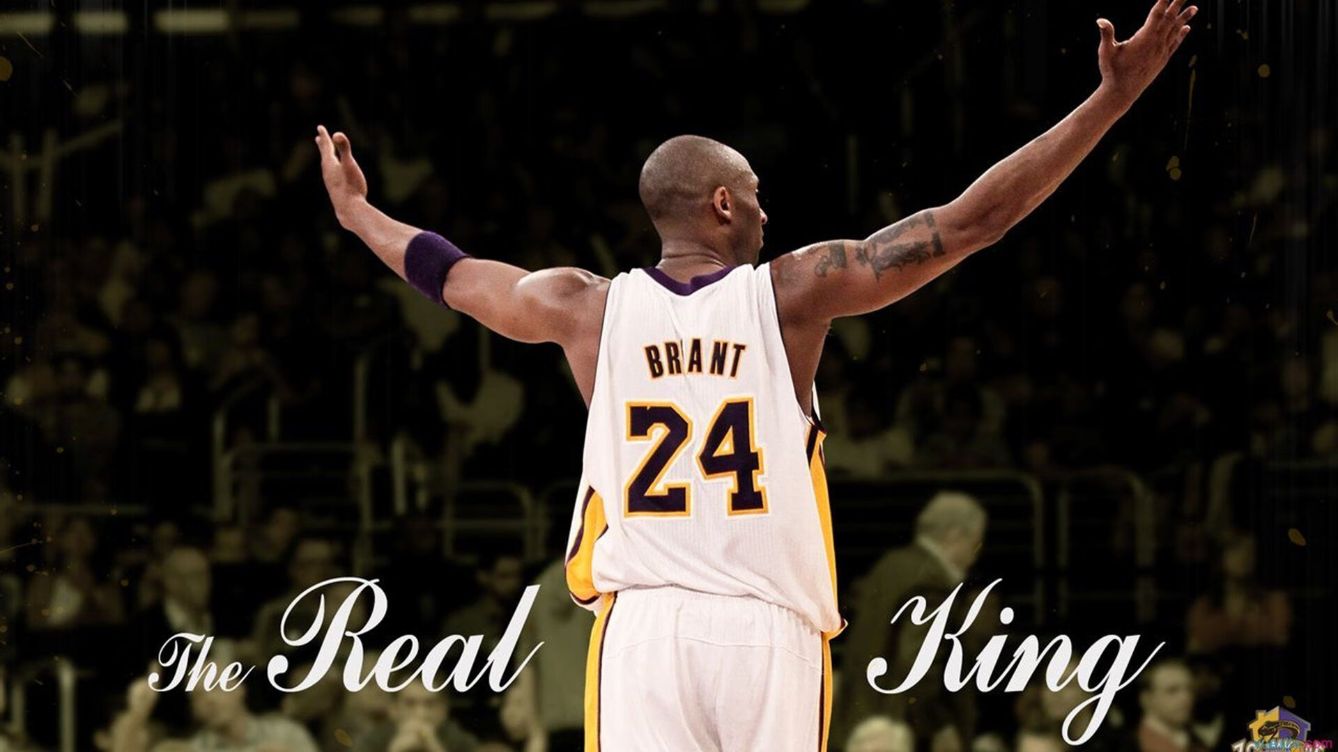 智能技术在体育竞赛裁判辅助中的应用研究,智能体育大赛项目